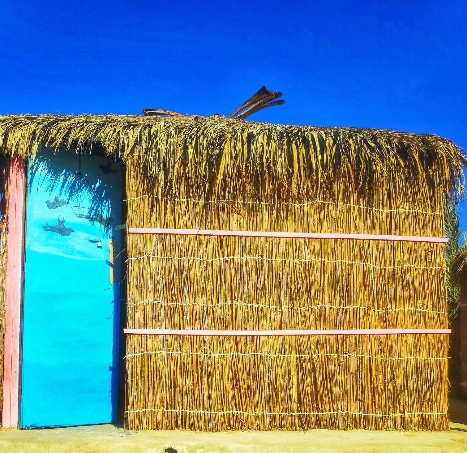 Nuweiba` Sababa Beach Camp B&B 객실 사진