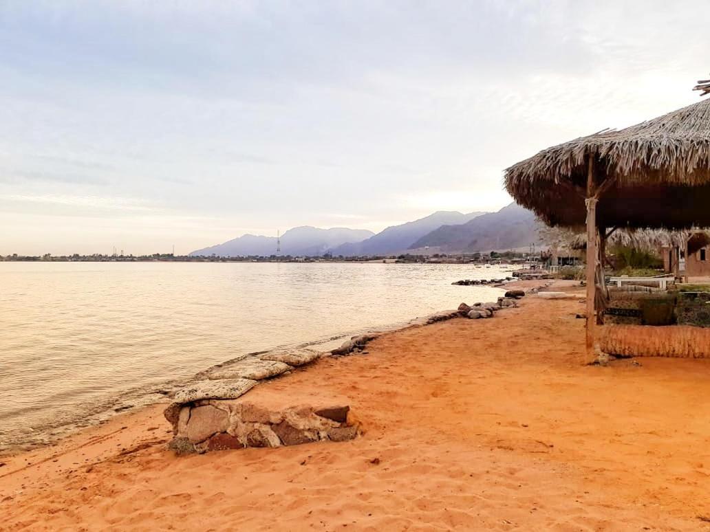 Nuweiba` Sababa Beach Camp B&B 외부 사진